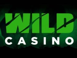 Wild Casino